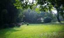 沙坪公园6