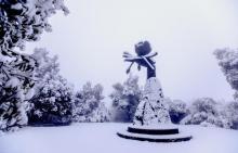 圣灯山森林公园5