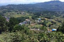 圣灯山森林公园10