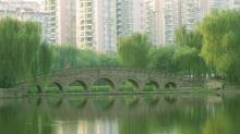 大渡口公园19