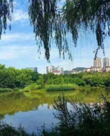 大渡口公园8