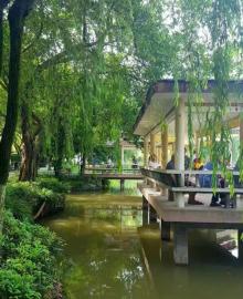 大渡口公园12