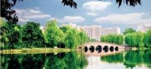 大渡口公园16