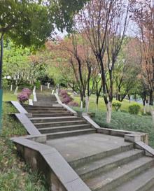 汉丰湖5