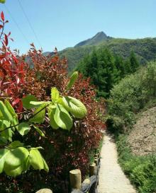 鸡心岭5