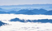 凤凰花果山2
