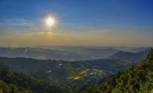 凤凰花果山3