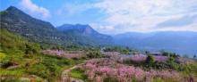 綦江国家地质公园翠屏山景区8