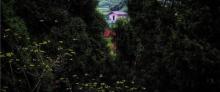 綦江国家地质公园翠屏山景区6