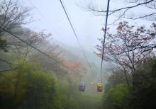 缙云山生态旅游观光索道7