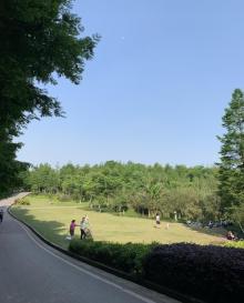 九曲河湿地公园4