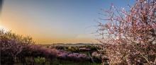炫彩万木源乡村旅游景区14
