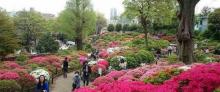 炫彩万木源乡村旅游景区30