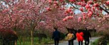 炫彩万木源乡村旅游景区26