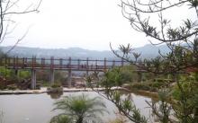 太白岩公园8