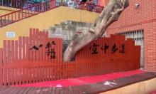 时光里枣子岚垭步道3