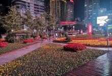 嘉陵公园13