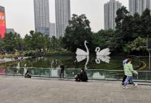嘉陵公园11