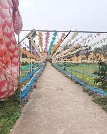 铜梁龙景区9