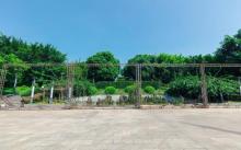 平顶山文化公园5