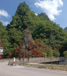 重庆大巴山1