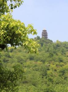 菩提山17
