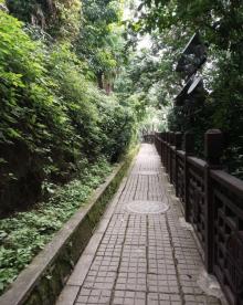 菩提山5