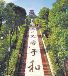 菩提山6