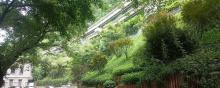 半山崖线1