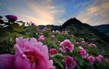 恺之峰旅游区13