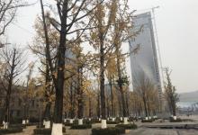 两江幸福广场13