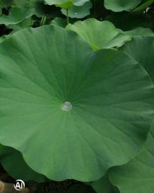 两江幸福广场15