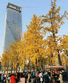两江幸福广场21
