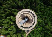 仙女山树顶漫步露营基地19