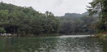 缙云山黛湖2