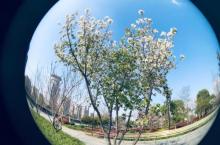 爱莉丝庄园25