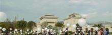 爱莉丝庄园6