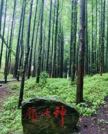 山王坪喀斯特国家生态公园26