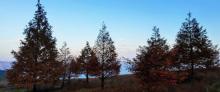 山王坪喀斯特国家生态公园11