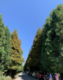 山王坪喀斯特国家生态公园18