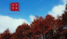 山王坪喀斯特国家生态公园14