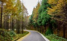山王坪喀斯特国家生态公园1