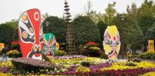 花卉园8
