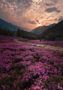 红池坝高山草场2