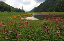 红池坝高山草场16