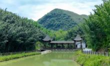 百里竹海景区-观音洞9