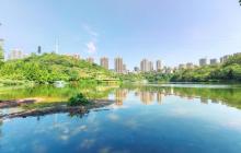 彩云湖湿地公园3