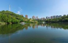 彩云湖湿地公园6