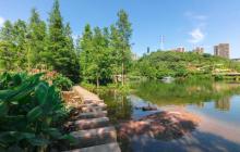 彩云湖湿地公园4