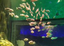 海之门海洋馆6